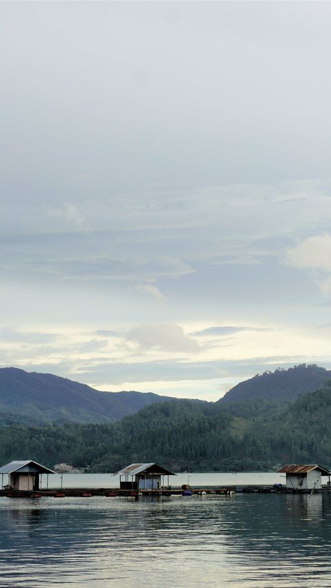 Mengunjungi Danau Laut Tawar, Suguhkan Panorama Alam Indah yang Memukau Cocok untuk Healing