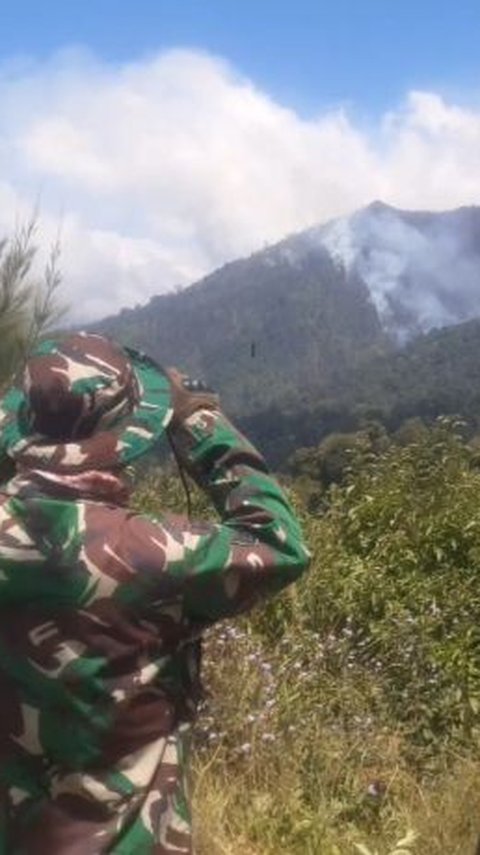 Kebakaran Hutan TNBTS Meluas, Titik Api Bertambah