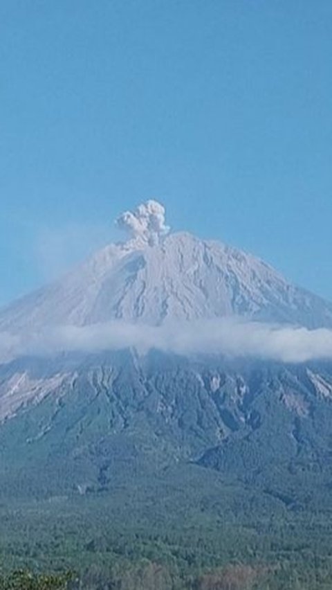 Gunung Semeru Erupsi Kamis Dini Hari, Warga Diminta Waspada Potensi Awan Panas