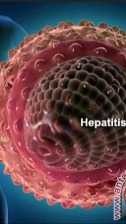 Kemenkes: Prevalensi Hepatitis B dan C Turun dalam Beberapa Tahun Terakhir