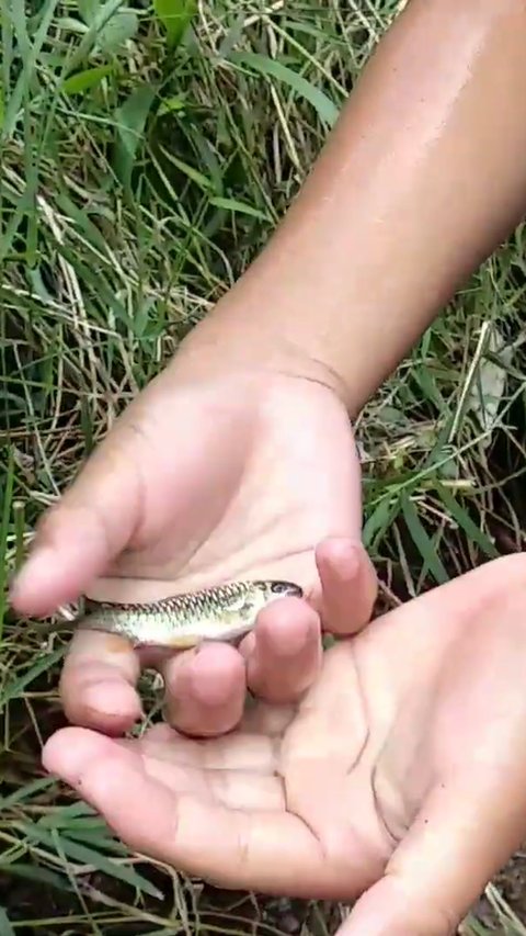 Belajar Mancing Ramah Lingkungan dari Tradisi Orang Sunda, Hanya Gunakan Tangan Kosong