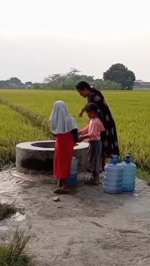 Cerita Sumur Tua Keramat di Tengah Sawah Serang, Tak Pernah Kering Meski Kemarau Ekstrim