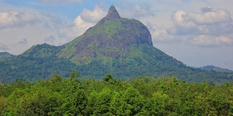 Vakansi ke Bukit Jempol Sumsel, Surganya Pencinta Alam yang Suka Mendaki dengan Trek Menantang