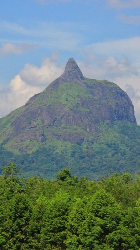 Vakansi ke Bukit Jempol Sumsel, Surganya Pencinta Alam yang Suka Mendaki dengan Trek Menantang