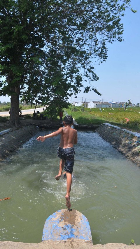 FOTO: Suhu di Bekasi Menyengat, Anak-Anak Asyik Main Air di Saluran Irigasi