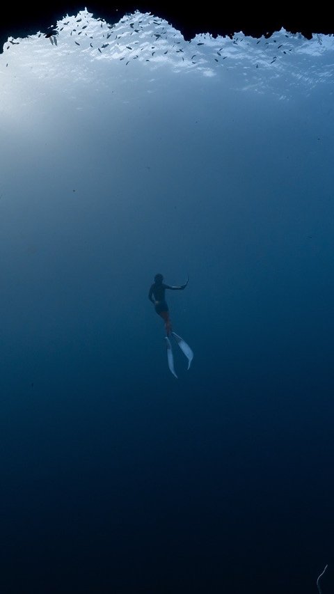 5 Momen Prilly Latuconsina saat Free Diving di Alor, Sempat Kesulitan Naik ke Kapal karena Ada Pusaran Arus Bikin Deg-degan