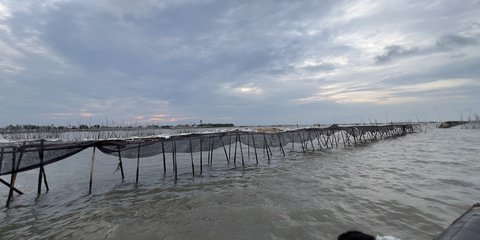 KKP Minta Pagar Laut Sepanjang 30 Km di Tangerang Dibongkar Dalam Waktu 20 Hari: Kalau Tidak, Kami Tindak!