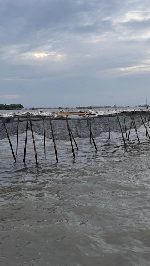 FOTO: Penampakan Terkini Pagar Laut Misterius di Tangerang, Akhirnya Disegel KKP Atas Perintah Prabowo