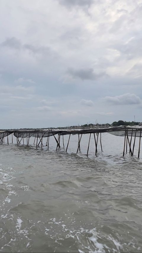 VIDEO: Keluhan Nelayan Sulit Melaut & Takut Ditangkap Akibat Pagar Misterius di Laut Tangerang