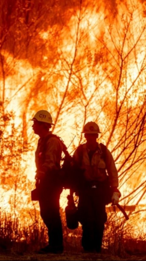 Kemlu RI Laporkan Ada Empat WNI Terdampak Kebakaran Hutan di Los Angeles