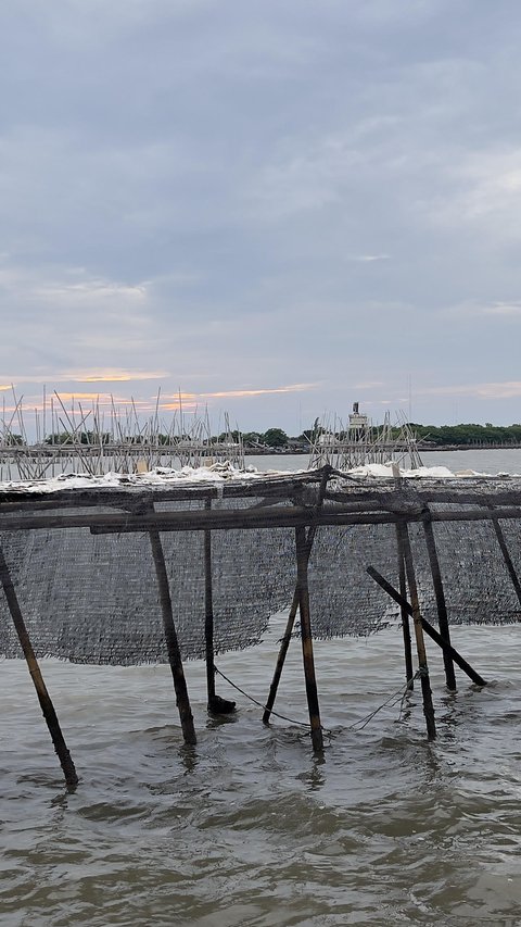 Fakta Terbaru Pagar Laut Tangerang, Nelayan Diupah Harian Rp100 Ribu hingga Singgung Keterlibatan Aparat