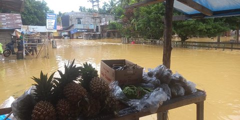 Banjir Landa Lima Desa di Kampar, 985 Rumah Terendam Air hingga Satu Meter