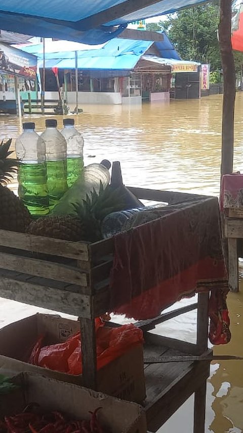 Banjir Landa Lima Desa di Kampar, 985 Rumah Terendam Air hingga Satu Meter