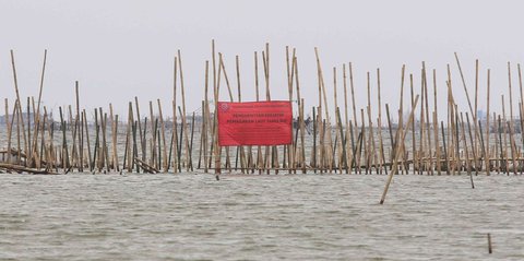 Pengembang Geram KKP Segel Pagar Laut di Laut Bekasi: Ini Proyek Kemauan Pemerintah, Kok Seolah Misterius