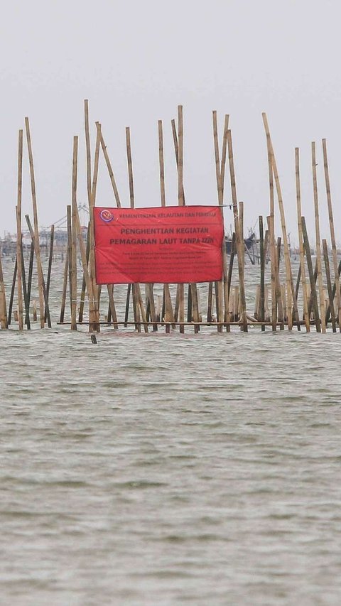 Pengembang Geram KKP Segel Pagar Laut di Laut Bekasi: Ini Proyek Kemauan Pemerintah, Kok Seolah Misterius