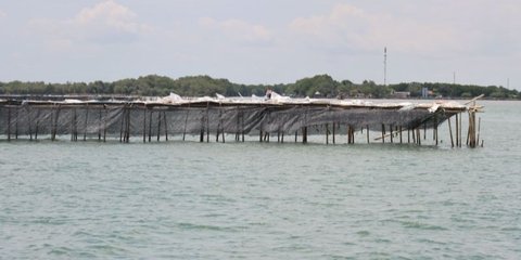 Cerita Warga Pulau Cangkir Tolak Mentah-Mentah Tawaran Proyek Pagar Laut Pantura Tangerang