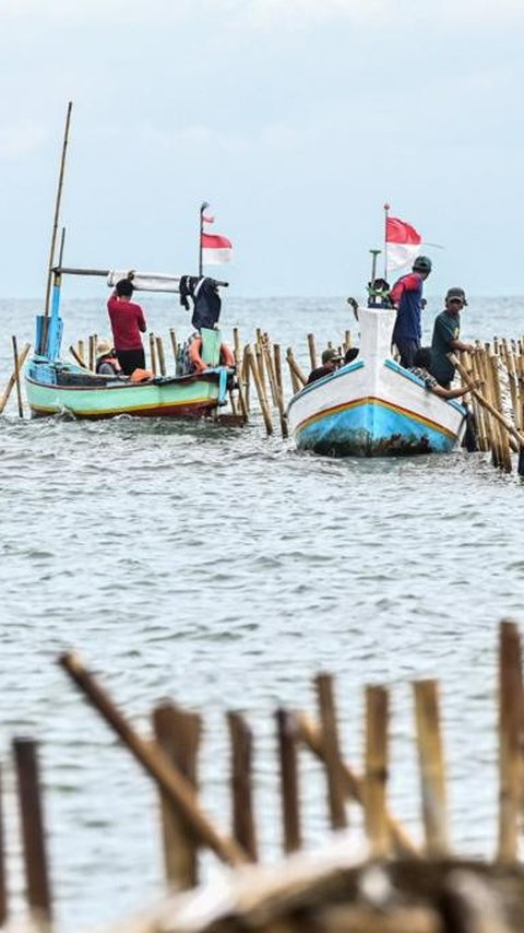 Akui Kurang Pengawasan Saat Pagar Laut Masif Dibangun 2024,  Menteri KKP Mengira untuk Penangkaran Kerang