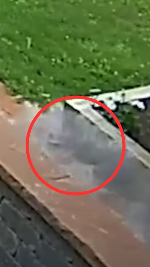 Terekam CCTV saat Pria ini sedang Bersiap Jalan-jalan dengan Anjingnya, Ada Meteor Jatuh Tepat di Depannya
