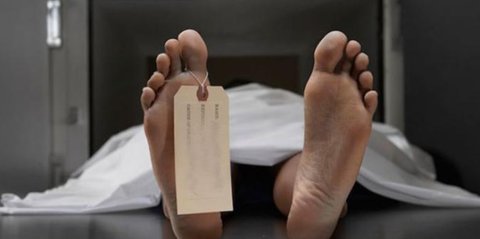 Kronologi Penyerangan KKB Bumiwalo Telenggen yang Tewaskan Anggota Polres Puncak Jaya