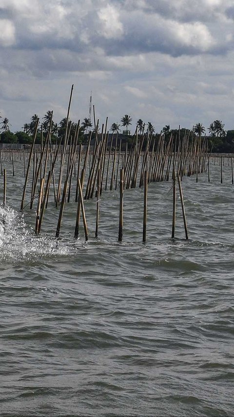 Ombudsman Turun Tangan Usut Penerbitan SHM & HGB Pagar Laut di Tangerang, Panggil Kanwil BPN hingga Pemda