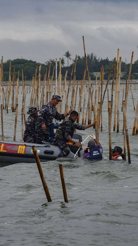 FOTO: Aksi Ribuan Pasukan TNI AL dan Nelayan Bersatu Bongkar Pagar Laut Misterius di Tangerang