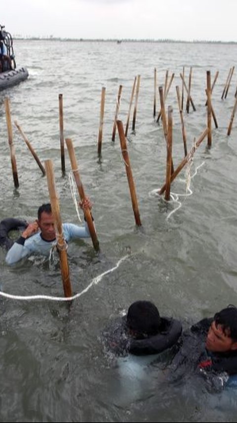 Pemilik Pagar Laut di Tangerang Bakal Didenda Rp18 Juta Per Kilometer, Unsur Pidana Diusut Polisi