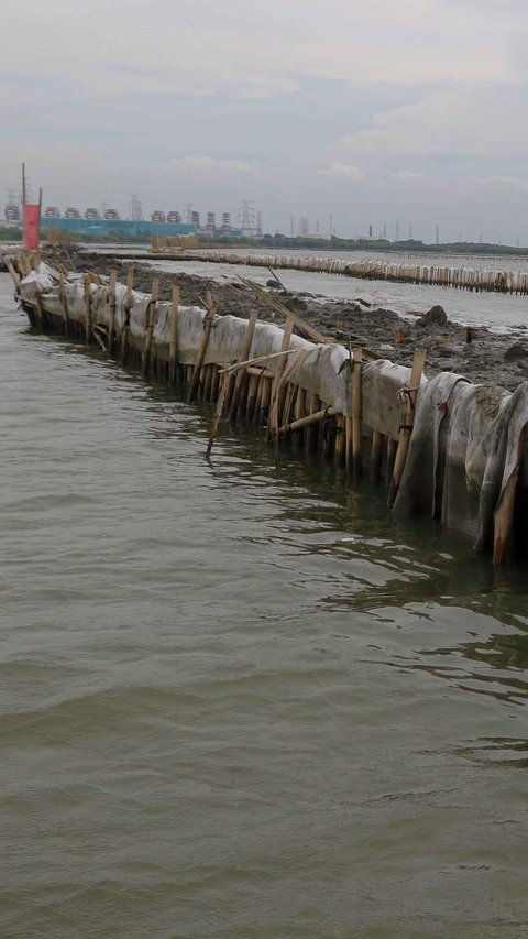 Identitas Pemilik Pagar Laut di Tangerang Akhirnya Terungkap, Kena Denda Rp540 Juta