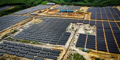 Singapura Investasi Pengembangan Energi Hijau di Indonesia, Kadin Beri Respons Begini