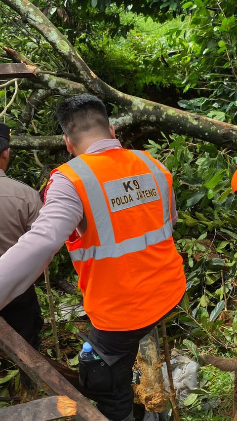 Brimob Bergerak Bantu Evakuasi Korban Banjir dan Longsor di Jateng