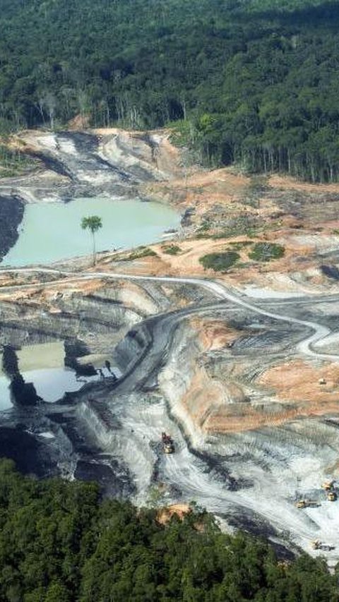 Aturan Sedang Disusun, UKM Bakal Boleh Kelola Lahan Tambang