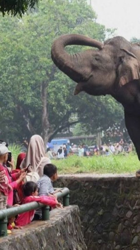 Libur Cuti Bersama, 8.000 Pengunjung Padati Kebun Binatang Ragunan