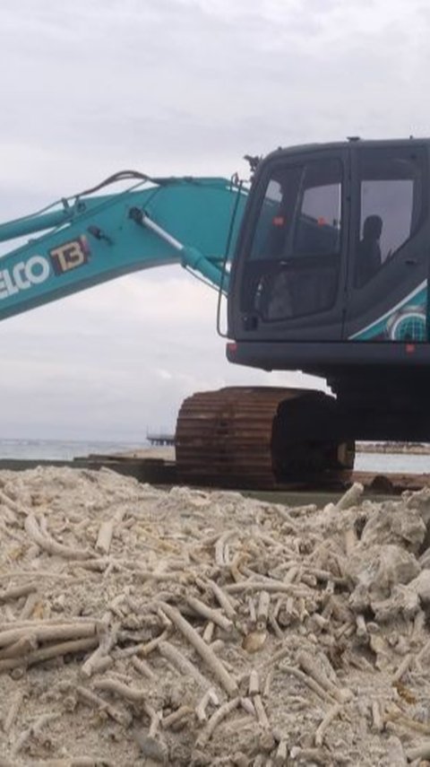 KKP Setop Dugaan Reklamasi Ilegal di Pulau Pari, Ditemukan Sejumlah Pekerja dan Alat Berat