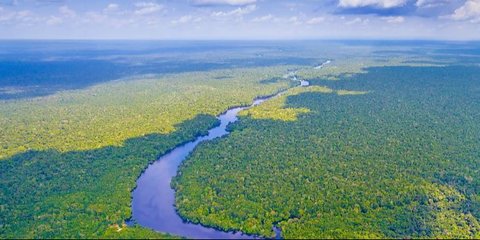 Fenomena Aneh, Mahasiswa Temukan Sungai Amazon Mengalir Mundur Saat Teliti Sedimen Sungai