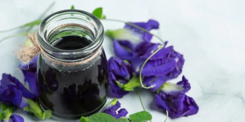 Tiga Cara Mengolah Bunga Telang Jadi Minuman yang Segar dan Sehat untuk Penderita Hipertensi dan Kolesterol Tinggi