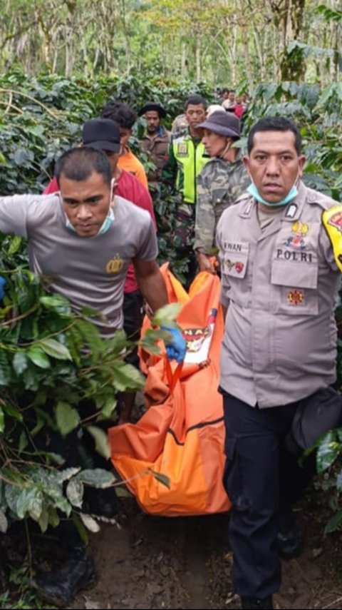 Bikin Geger, Mayat Wanita dalam Drum yang Ditanam Ditemukan di Kebun Kopi Bener Meriah