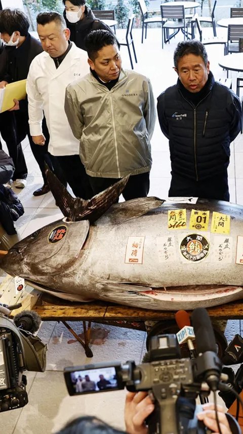 Termahal Kedua, Ikan Tuna Seberat Sapi Terjual dengan Harga Tembus Rp 21 Miliar