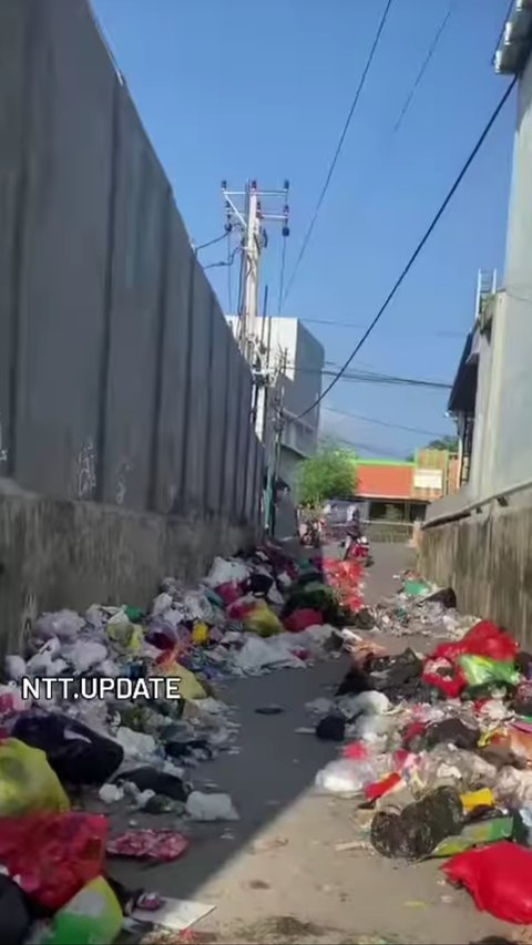 Viral Video Sampah Berserakan di Jalan Raya, Wakil Gubernur NTT Terpilih Langsung 'Colek' Pemkot Kupang di Medsos