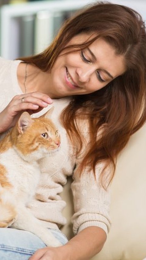 Ilmuwan Ungkap Cara Mudah Berkomunikasi dengan Kucing, Begini Caranya