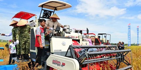 FOTO: TNI AL Panen Kedelai di Lampung Utara, Dorong Swasembada Pangan Nasional