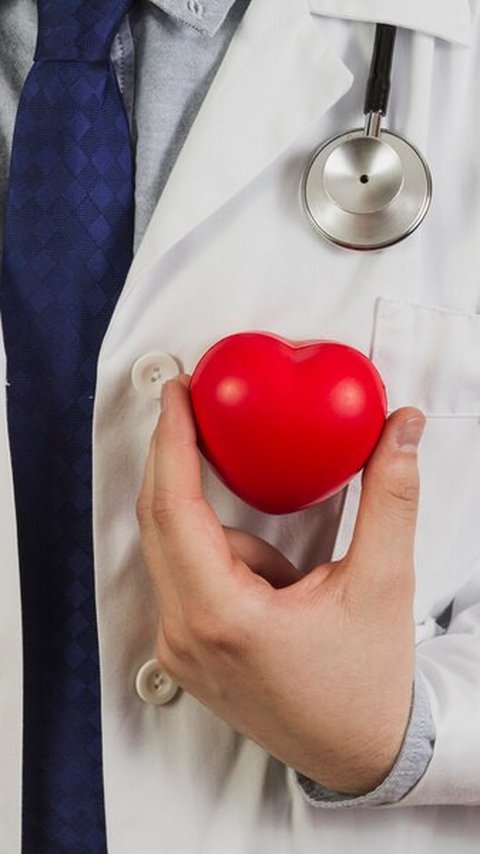 Mengenal Rekan Kerja Jantung, Organ-Organ Penting Penjaga Keseimbangan Tubuh
