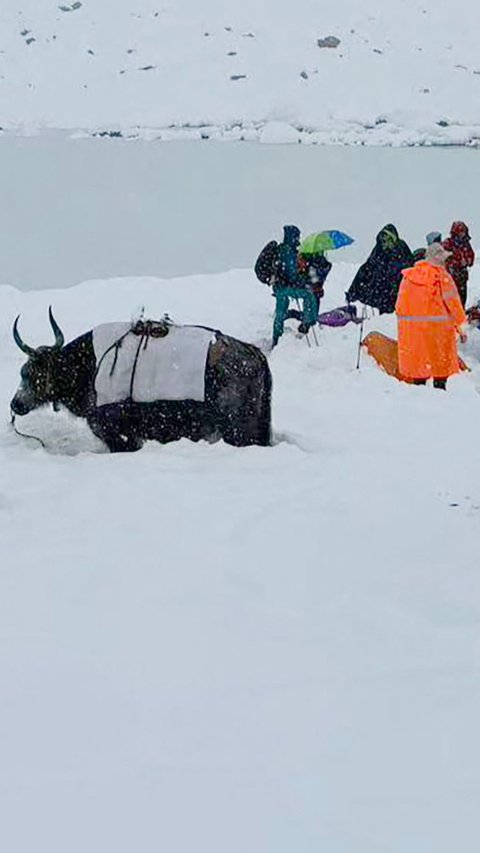 FOTO: Terjebak Badai Salju di Tibet, Pendaki Tewas dan Ratusan Diselamatkan dari Lembah Karma