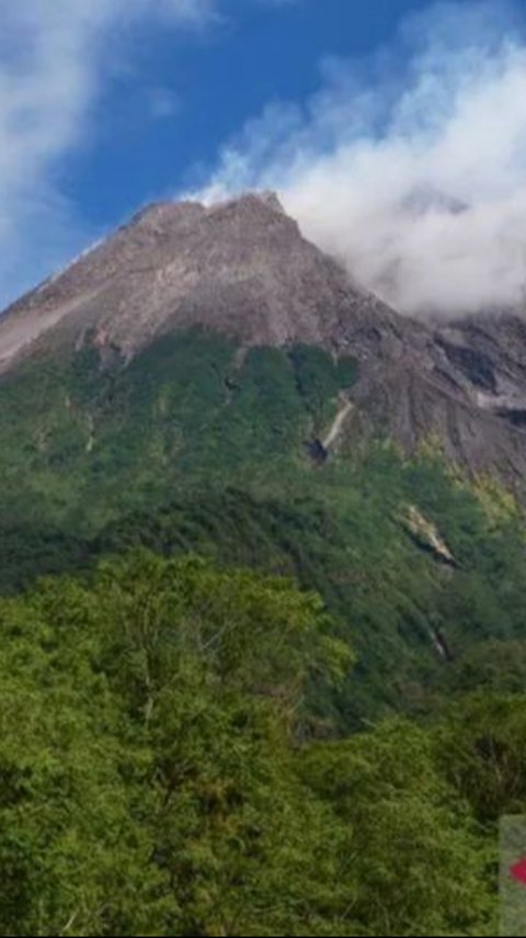 Merapi Bergejolak Lagi! Awan Panas Guguran Meluncur Hingga 2 Kilometer