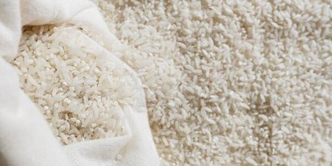 Bukan Karena Uang, Ini Kisah di Balik Beras Termahal di Dunia Asal Jepang