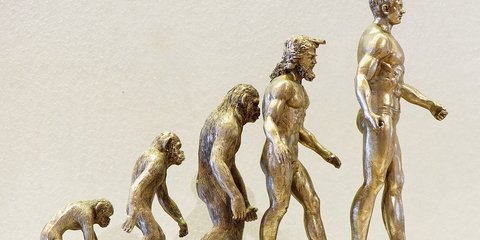 Mengapa Manusia Tidak Punya Ekor? Begini Penjelasan Ilmuwan dan Peneliti