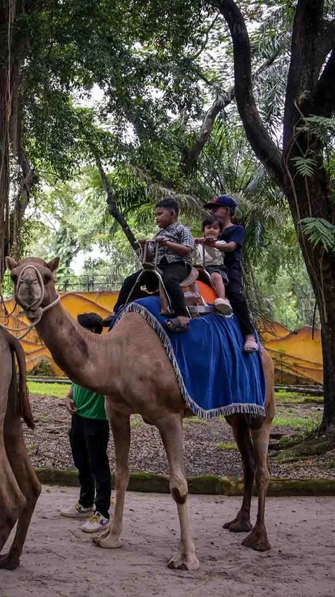 FOTO: Kebun Binatang Surabaya Jadi Pilihan Wisata Edukatif Selama Libur Akhir Tahun