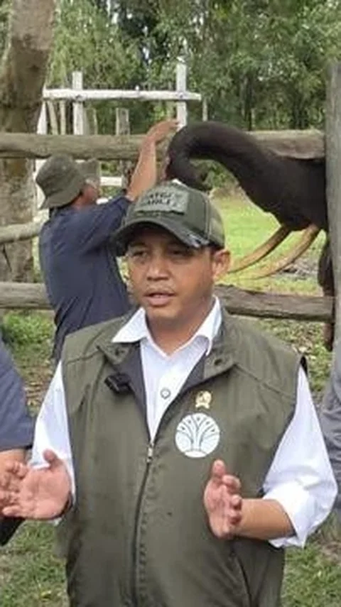 Menhut Raja Juli Sebut Deforestasi Indonesia Alami Penurunan