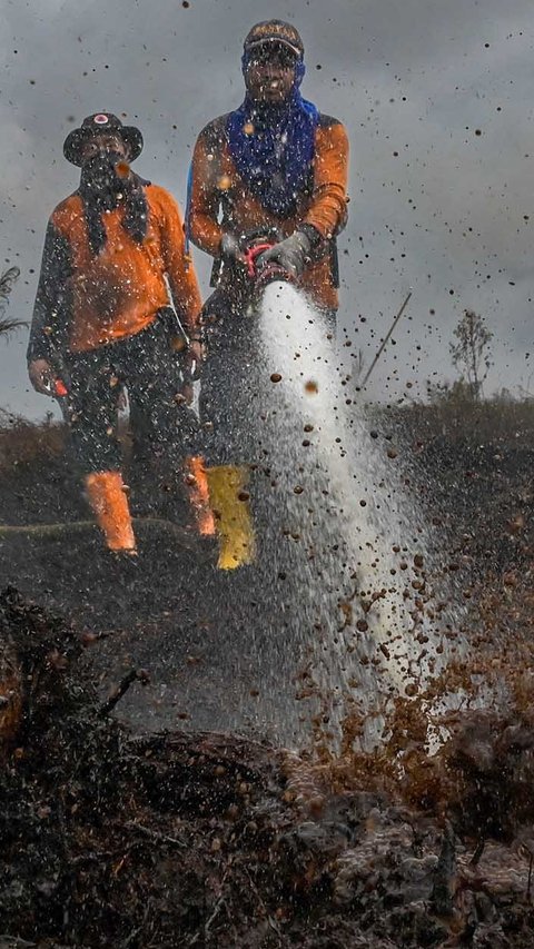 FOTO: Semangat Petugas BPBD Aceh Barat di Tengah Sulitnya Memadamkan Api di Hutan Gambut