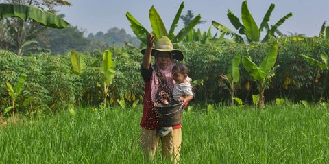 FOTO: Distribusi Pupuk Subsidi ke Petani Mulai Lancar