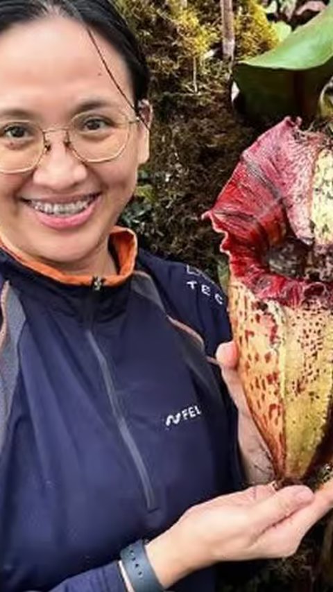 Ilmuwan Ungkap Tanaman-Tanaman Karnivora Pemakan Daging, Sudah Bervolusi Selama 70 Juta Tahun