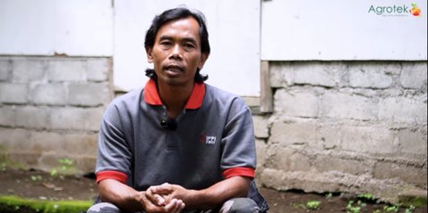 Resign dari Perusahaan Transportasi, Pria Ini Sukses Ternak Ulat Hong Kong Hasil 1 Kuintal per-Minggu